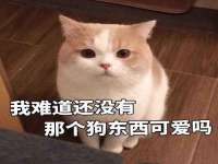 苏州墨哲根商贸有限公司
