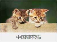 苏州墨哲根商贸有限公司