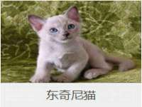 苏州墨哲根商贸有限公司