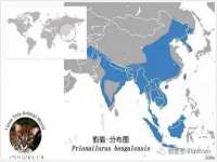 苏州墨哲根商贸有限公司