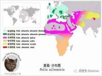 苏州墨哲根商贸有限公司