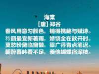 苏州墨哲根商贸有限公司