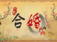 苏州墨哲根商贸有限公司