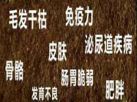 苏州墨哲根商贸有限公司